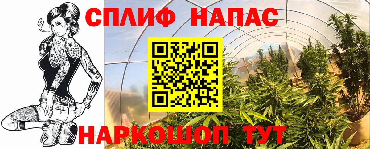 Бошки марихуана сатива Омск